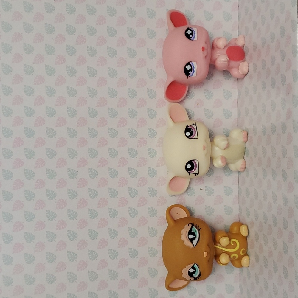 🌞 🐾 LPS mouse trio
